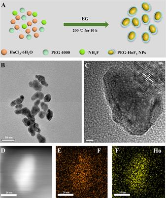 Facile Synthesis of Holmium-Based Nanoparticles as a CT and MRI Dual-Modal Imaging for Cancer Diagnosis